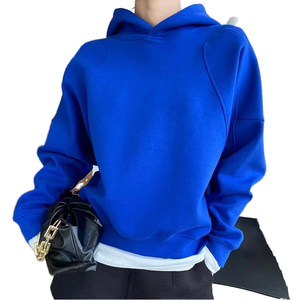 Hoodie pour homme en molleton 360gsm 610gsm 100% coton, coupe ample, logo personnalisé, écologique, hiver - Product Image 1