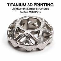 Service d'impression 3D sur mesure en alliage de titane, fusion laser sélective, tolérance de 0,01 mm, structures en treillis légères