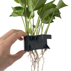 Support de plante suspendu pour <span class=keywords><strong>aquarium</strong></span> OEM DD1890 avec crochets, support de culture en pot, décorations pour <span class=keywords><strong>aquarium</strong></span> - Product Image 1