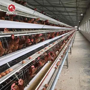 Afrique cage ferme Offre Spéciale h type batterie cages à poulet pour couches