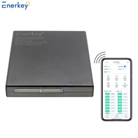 4TH NEEY Enerkey 4A Smart Active Balancer 3S 4S 5S 6S 7S 8S 16S 20S 21S 22S 24S Lifepo4 Lipo LTO Penyeimbang Energi Baterai
