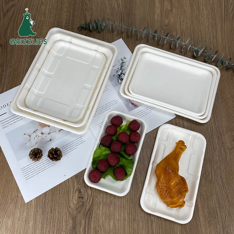 Disposable Biodegradable Compostable Rectangular Sugar Cane Sugarcane Bagasse Pulp Meat Fruit Food Trays