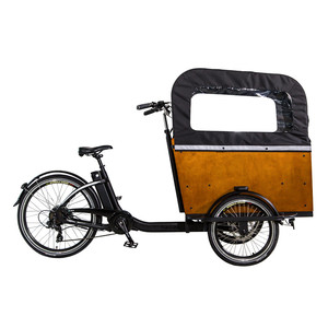 Bon marché <span class=keywords><strong>danois</strong></span> 3 roues enfants vélo <span class=keywords><strong>cargo</strong></span> électrique adulte 3 roues moto scooter tricycle de cargaison - Product Image 3