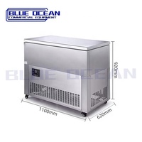 Machine commerciale de fabrication de briques de glace en acier inoxydable à usage commercial à température unique disponible différentes tailles 6 29