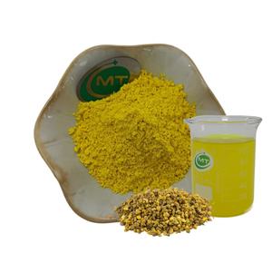 Заводская поставка, высокое качество, экстракт корня гидрасты Canadensis/золотого тюленя, 10% экстракт берберина HCL золотого тюленя - Product Image 1