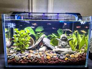 Statua Paesaggistica Drago Divino Acquatico per <span class=keywords><strong>Acquario</strong></span>, Scultura in Pietra, Pietra Verde, Bonsai, Micro Paesaggio, Accessori per Acquari - Product Image 2