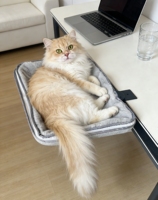 Lit pour chat à fixer sur le bureau, rectangulaire, sans perçage, structure robuste, housse en maille amovible et lavable, gain de place, nid pour animaux de compagnie toutes saisons