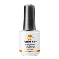 Base Coat Déshydratant Écologique pour Ongles Marque Blanche 15ml PH Bond pour Ongles en Gel UV Séchage Rapide Longue Durée Résine Non Toxique