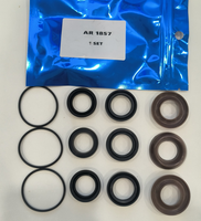 Kit de réparation de joints XR AR1857 de haute qualité, pour pompe de nettoyeur haute pression Annovi Reverberi, joints FKM en tissu et joints toriques premium