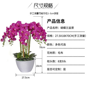 <span class=keywords><strong>Vaso</strong></span> Decorativo H-164 con Piante Vive, Fiori Artificiali in Seta Bianca, Orchidee Phalaenopsis in <span class=keywords><strong>Vaso</strong></span> Trasparente - Product Image 3