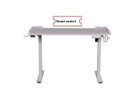 Bureau de jeu de style moderne E-Sports RGB Lighting White Edition Table de jeu électrique en métal à hauteur réglable