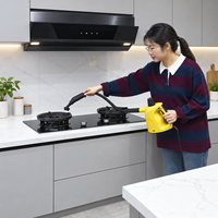 Équipement de nettoyage électrique compact 2000W, chauffe rapide en 10 minutes, réservoir de 1,5L avec verrouillage de sécurité, machine de nettoyage à vapeur pour voiture