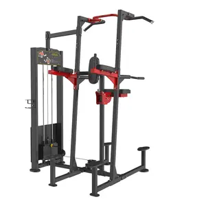 Fitness Commercial Gym Machine Supplier Hot Sale Strength Machine Pin Selected Equipment Pull Ups Dip/Chin Assist