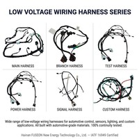 Harnais de câblage automobile personnalisé pour portières et carrosseries, assemblage multi-branques, fabricant OEM ODM 12V 24V