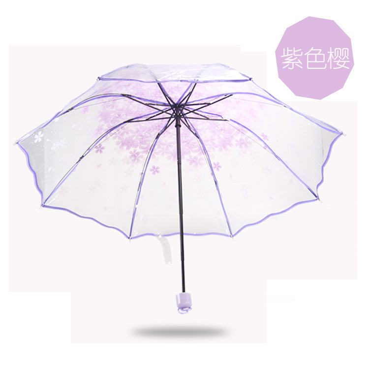 Apollon Sakura violet