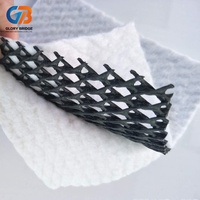 Géonetz 3D en PEHD, couche de drainage composite imperméable pour les décharges, les routes et l'ingénierie civile