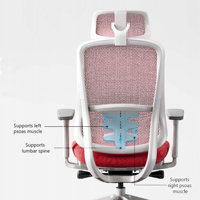 Chaise ergonomique 2027, chaise de bureau ergonomique en maille de haute qualité, design moderne et luxueux, chaise d'ordinateur avec soutien lombaire