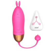 Kabelloser Vibrator für Frauen mit Fernbedienung, 10 Frequenzen, Starke Vibration für Masturbation