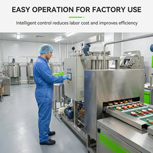 Máquina de Producción de Gomitas, Máquina para Hacer Gomitas Duras, Línea de Producción de Ositos de Goma - Product Image 6