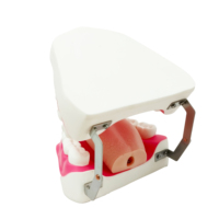 Simulador dental médico estándar, estudio de enseñanza, protección bucal, cuidado bucal, entrenamiento, reparación de dientes, modelo de 28 dientes con cepillo de dientes