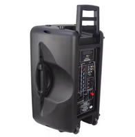 Grande puissance professionnelle BT haut-parleur extérieur chariot haut-parleur Audio Portable karaoké lecteur stéréo sons haut-parleur