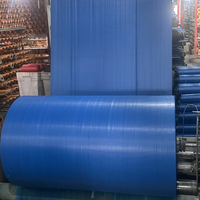 Rouleaux de tissu tissé en PP 80-240 g/m² résistants à l'humidité, taille et couleur personnalisées avec impression offset pour sacs de riz, maïs, blé, marque ZHIYE