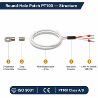 HUADONG Surface Mount Round Hole PT100 RTD Temperature Sensor, 3 Wire, Metal Mounting Tabs for Surface Temperature Measurement