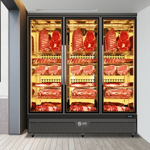 Refrigerador para Maduración de Carne con Puerta de Cristal Antivaho, Sin Escarcha, Estantes Ajustables, Temperatura Constante, Modelo LD620C para Carne de Res - Product Image 6