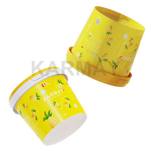 Vente en gros Nouveau design Boîte à yaourt de couleur personnalisée 500ml Tasse à yaourt Bac à yaourt avec couvercle - Product Image 4