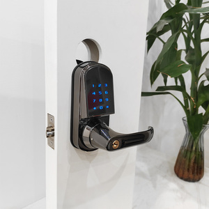Nuova Serratura Intelligente per Porta in Lega di Zinco OEM, Supporta Chiavi, Password e Sblocco con Chiave, Moderna Maniglia Intelligente per Porta - Product Image 2