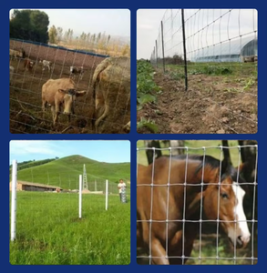 Factory Wholesale Cattle <b>Net</b> and Breeding Isolation <b>Net</b> - Product Image 6
