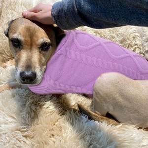 Pullover Dog Hemp Turtleneck rajut Sweater hewan peliharaan lucu gaya olahraga dengan XS-XL pola hewan Solid bergaris - Product Image 5