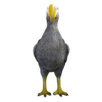 Statue d'oiseau dodo en résine 3D personnalisée, figurine d'oiseau dodo éteint pour la décoration de la maison