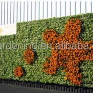 Soporte para Macetas de Pared, Sistema de Jardín Vertical - Product Image 2