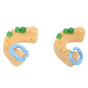 Pinces de fixation en caoutchouc dentaire, anneaux de retenue en résine, 4 pièces, résistantes aux hautes températures, pour chirurgie dentaire - Product Image 2