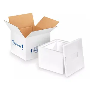 Scatola di imballaggio catena del freddo all'ingrosso termoisolanti in schiuma di polistirolo scatole di spedizione per il trasporto di alimenti surgelati