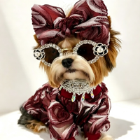 Accessoires pour animaux de compagnie : Lunettes fantaisie solides, décoratives et colorées, avec strass scintillants, en plastique, pour petits animaux et chiens, idéales pour les anniversaires et l'automne