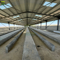 Solución Llave en Mano para Granja de Cría de Ovejas de 4000 Unidades: Diseño, Construcción e Instalación