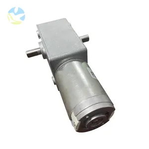 Tùy chỉnh công suất cao mô-men xoắn cao tốc độ chậm 2-500rpm tự khóa Chức năng DC Worm Gear Motor