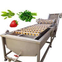 Industriële automatische roestvrijstalen groente- en fruitwasmachine met motor en hetelucht droging
