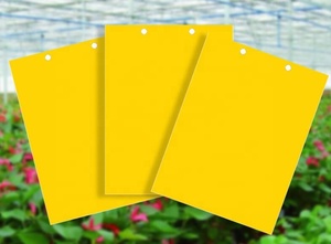 Trappola per Topi Elettrica Gialla Usa e Getta con Colla Solida per Uso <span class=keywords><strong>Interno</strong></span>/Esterno Protegge le <span class=keywords><strong>Piante</strong></span> Non Tossica - Product Image 2