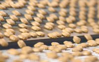 Ligne de production de biscuits au beurre d'ours entièrement automatique, machine à fabriquer des biscuits Hello Panda avec crème au chocolat