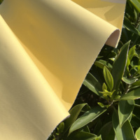 Nouvelle Tendance : Cuir Végétalien de Cactus, Cuir PU Bio-sourcé pour Sacs à Main, Portefeuilles, Accessoires, Emballage à Base d'Eau