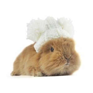 Chapéu de lã de coelho, decoração de pequeno chapéu para pet foto, acessórios de roupas para coelho - Product Image 3