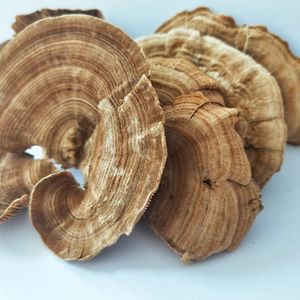 <span class=keywords><strong>Champignons</strong></span> Polypore Multicolores Sauvages, <span class=keywords><strong>Champignons</strong></span> Trametes Betulina Séchés, <span class=keywords><strong>Champignons</strong></span> Mazegill de Bouleau - Product Image 2