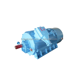 Motor a Prueba de Explosiones de Alto Voltaje AC 6kv, Motor Eléctrico a Prueba de Explosiones de Alto Voltaje - Product Image 3