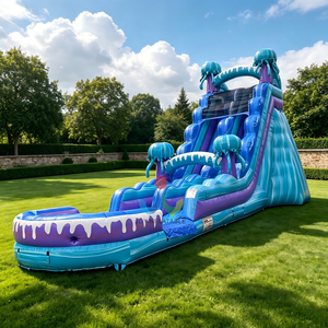 Tobogán Acuático Inflable de Doble Carril con Diseño de Medusas y Piscina, Ondas Azules con Criaturas Oceánicas, Fabricado con Lona de PVC de Grado Comercial - Product Image 1