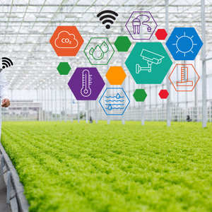 Invernadero Agrícola Inteligente Grande de Doble Capa de PE con Tecnología Hidropónica para Cultivar Plantas de Lechuga <span class=keywords><strong>y</strong></span> Ensalada - Product Image 4