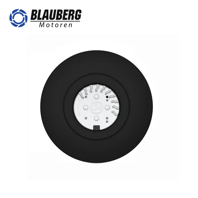 Blauberg 170W 250mm unità d'aria centrale centrifuga in plastica dc silenziosa a basso rumore medica con certificazione CE