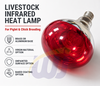 Lampe chauffante pour poulets WANJIA R125, ampoule chauffante infrarouge E26 E27, verre semi-rouge, 125W 250W, pour élevage de volailles, ferme d'incubation
